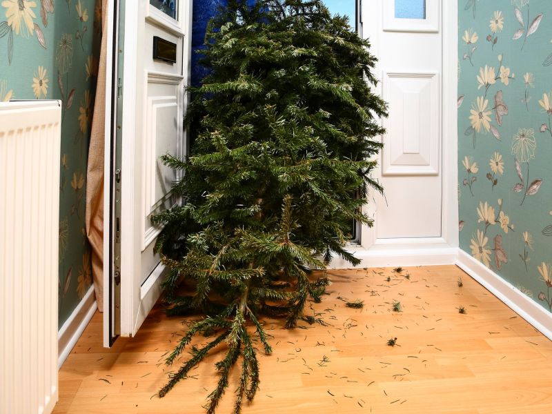 Weihnachtsbaum entsorgen
