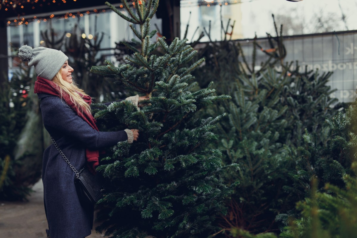 Frau kauft Weihnachtsbaum