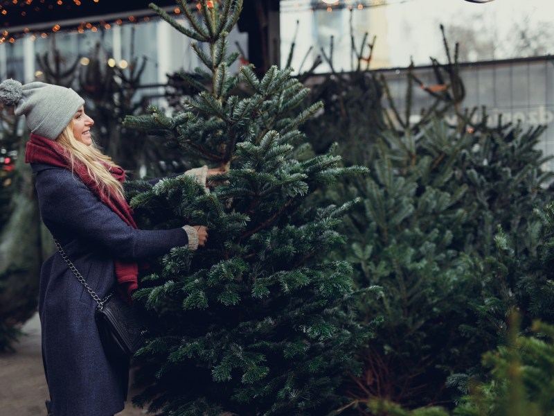 Frau kauft Weihnachtsbaum