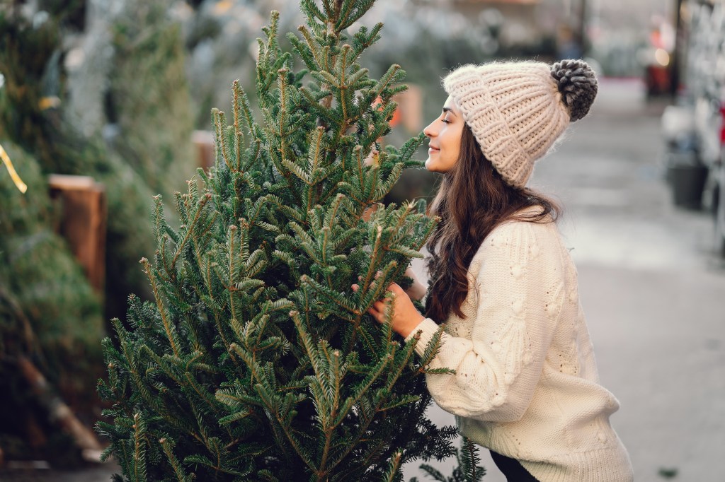 Frau riecht an Weihnachtsbaum