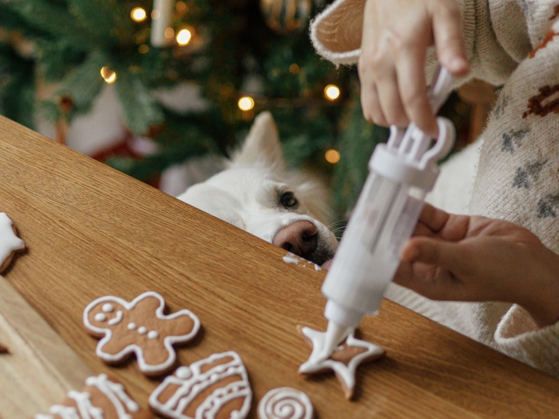 Weihnachtskekse für Hunde