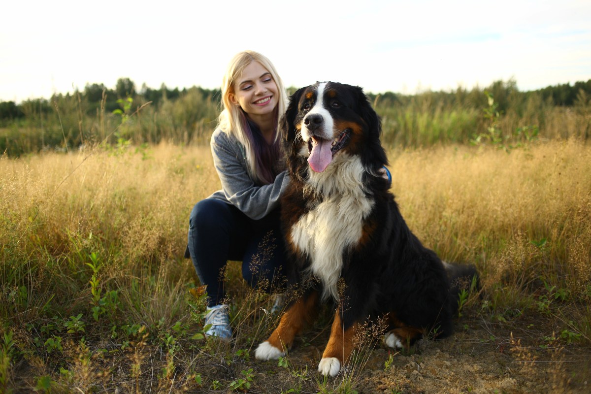 Frau mit Berner Sennenhund