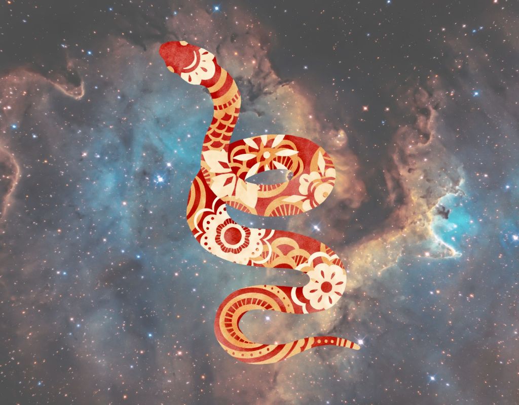 Chinesisches Sternzeichen Schlange