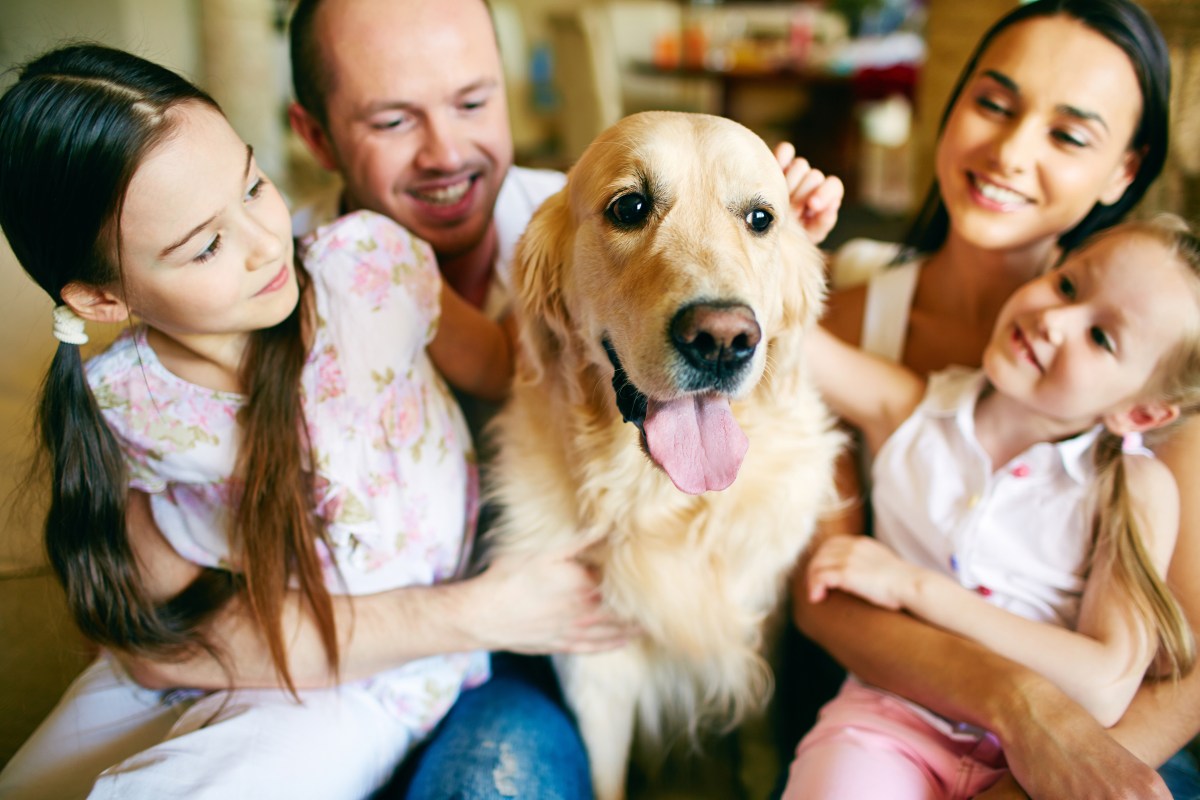 Familien Hunderassen