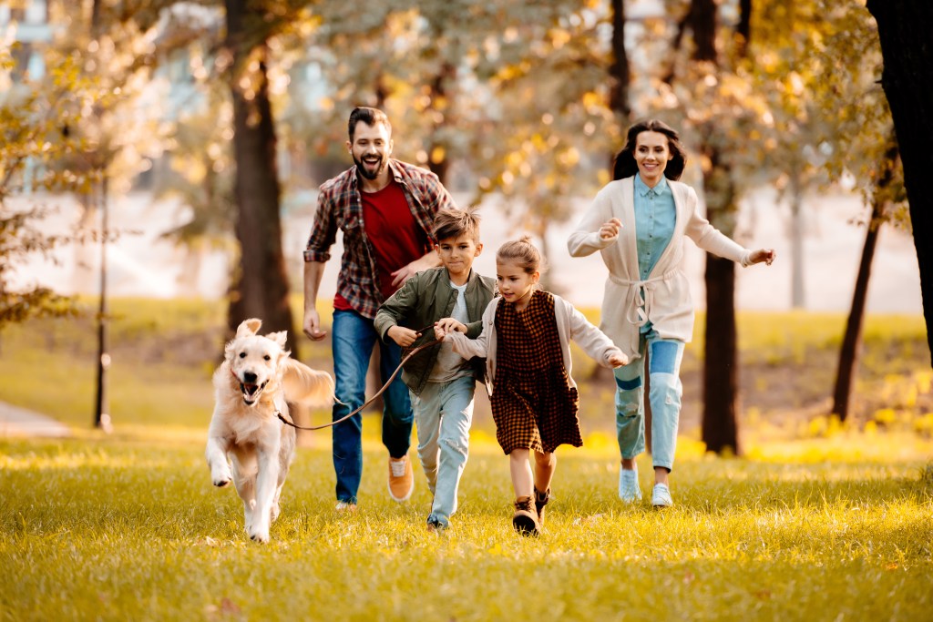 Familien Hunderassen