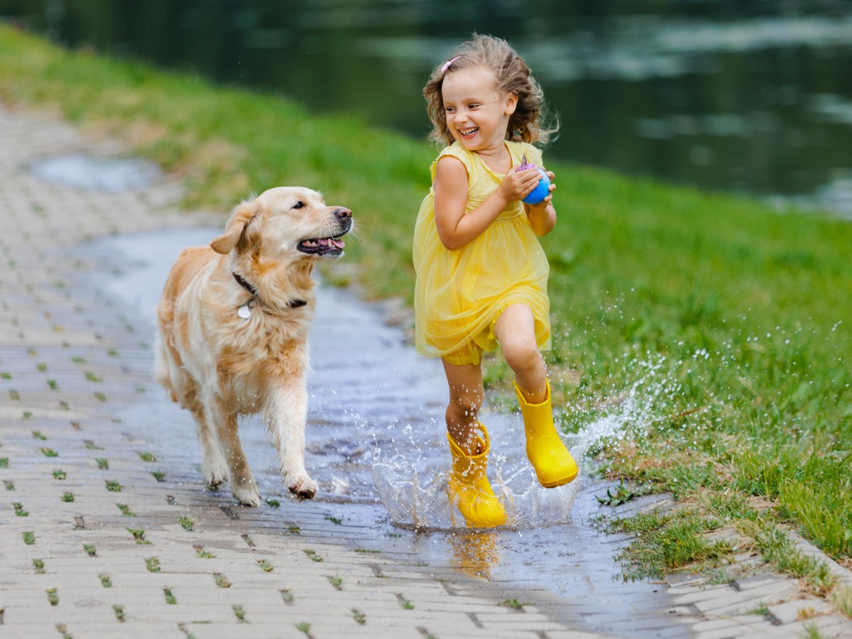 Kinder mit Hund: Darum sind sie wissenschaftlich bewiesen fitter