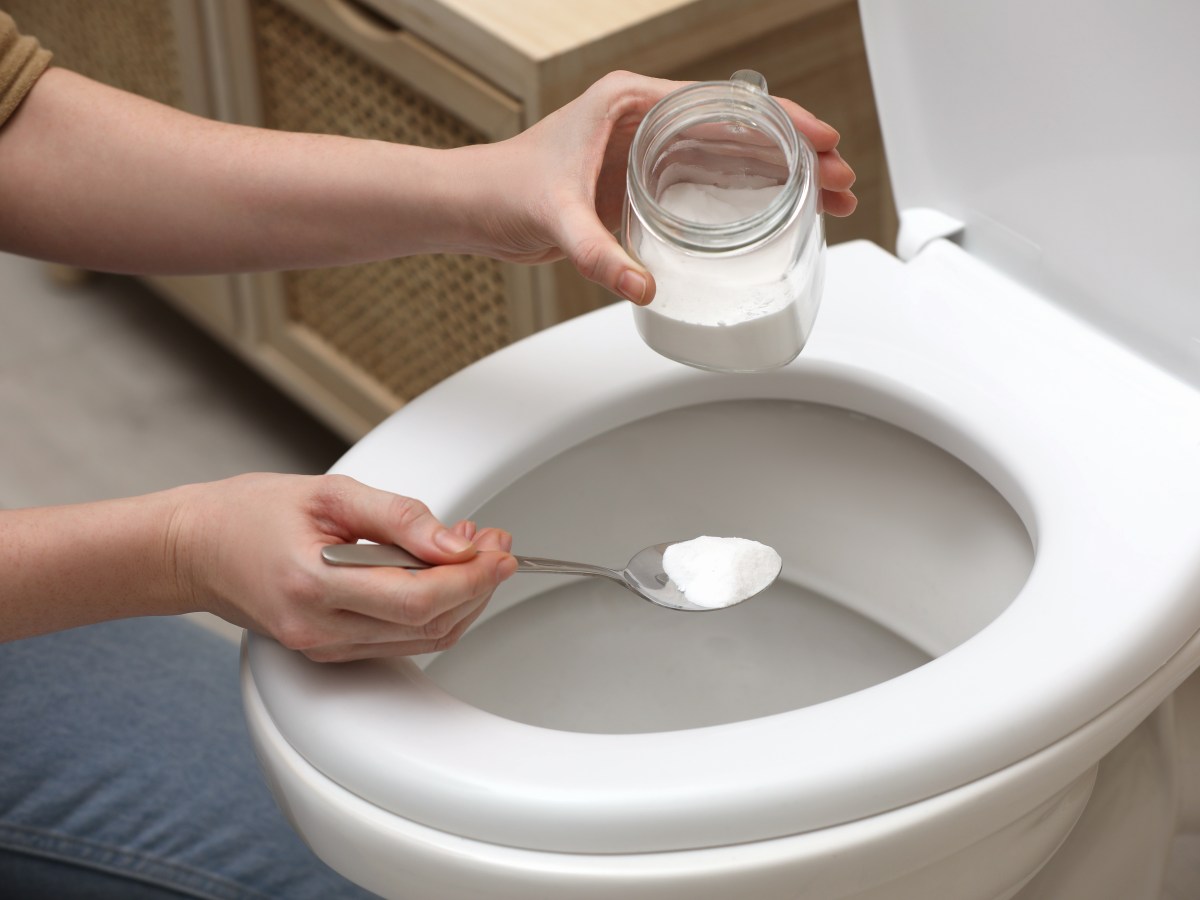 Urinstein entfernen: Mit diesen Hausmitteln wird die Toilette sauber