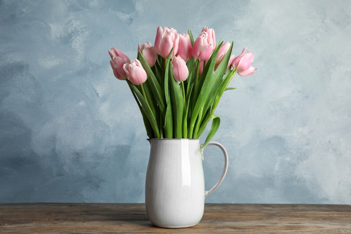 tulpen in der vase