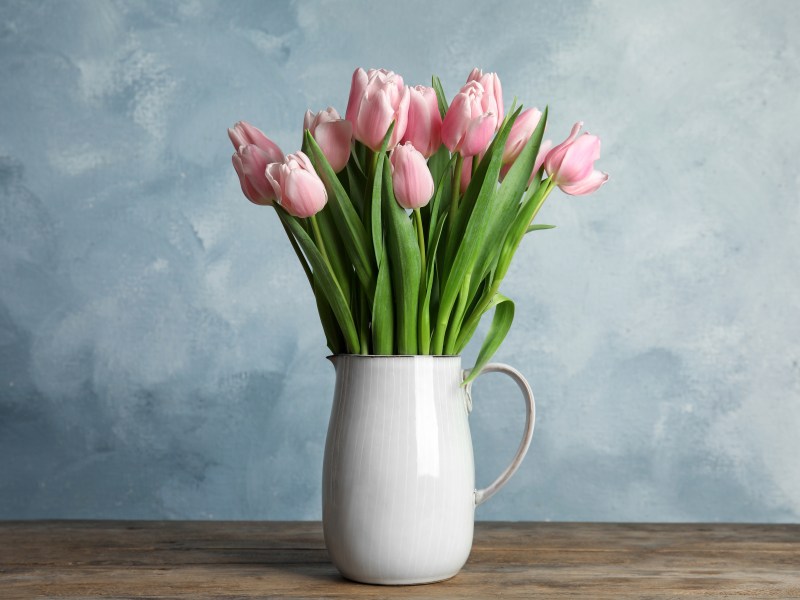 tulpen in der vase