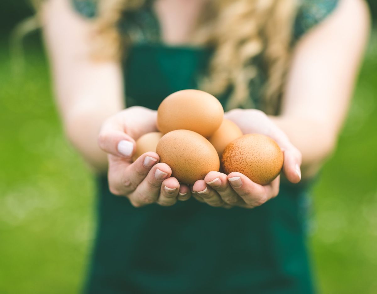 Frau Eier Vegan Ersatz