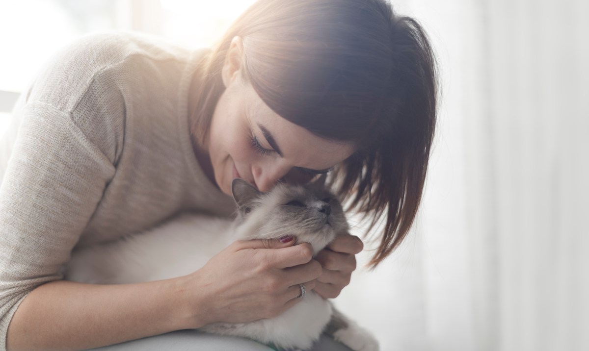 Verschmuste Katzenrassen Frau kuschelt mit Katze