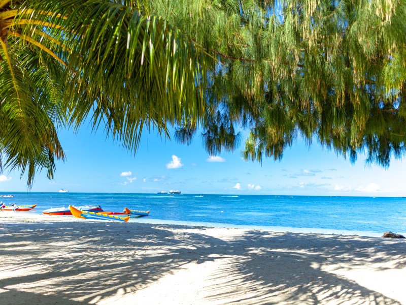 Ein weißer Sandstrand mit Palmen und blauem Wasser.