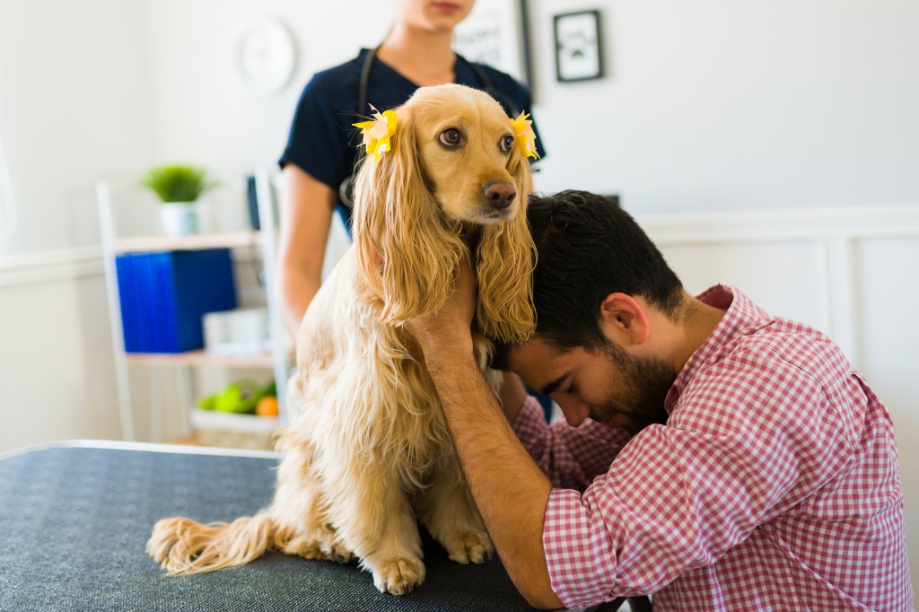 Mann verabschiedet sich von Hund