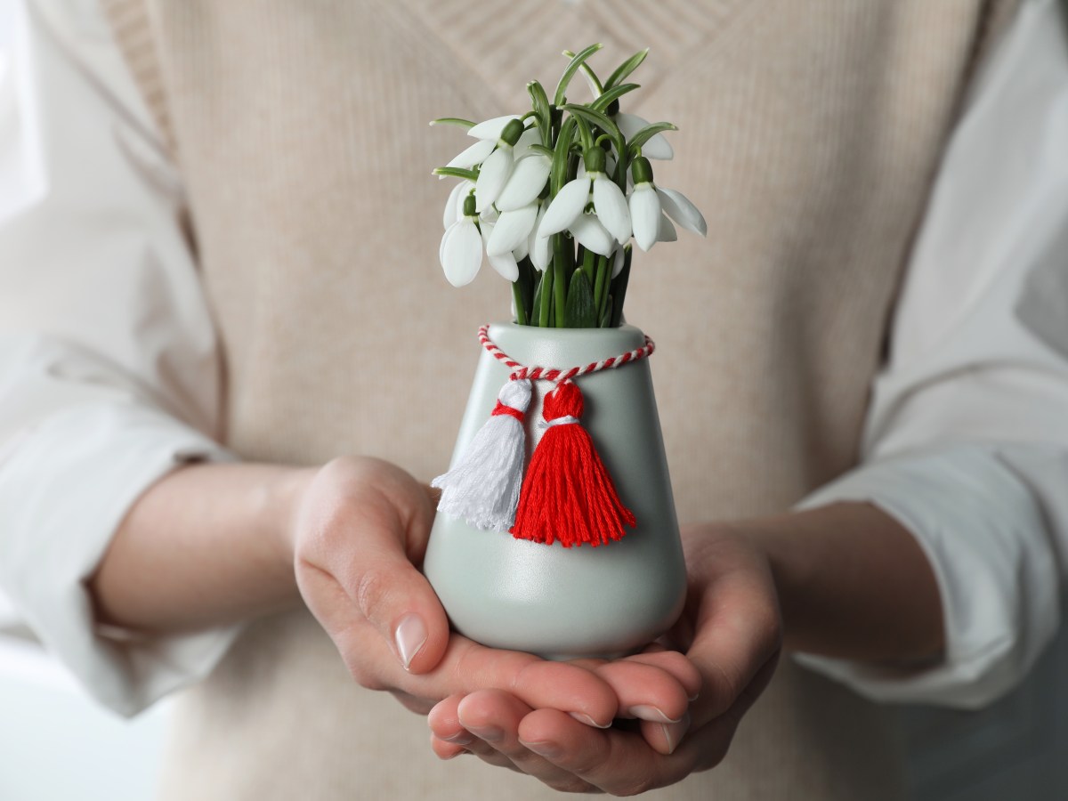 Schädlinge bei Schnittblumen: Diese holst du dir mit Tulpen & Co. ins Haus