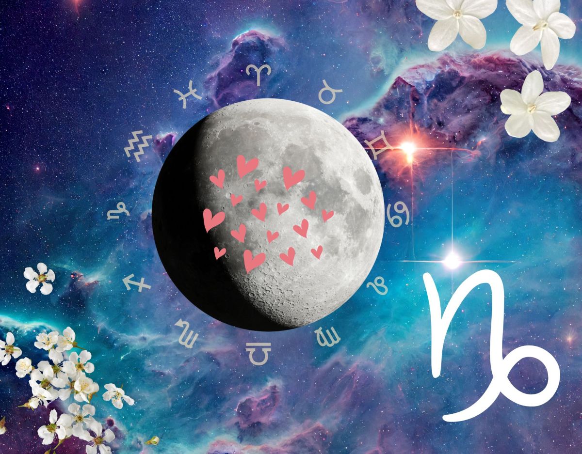 Sternzeichen Partner Horoskop: Wer passt zum Steinbock