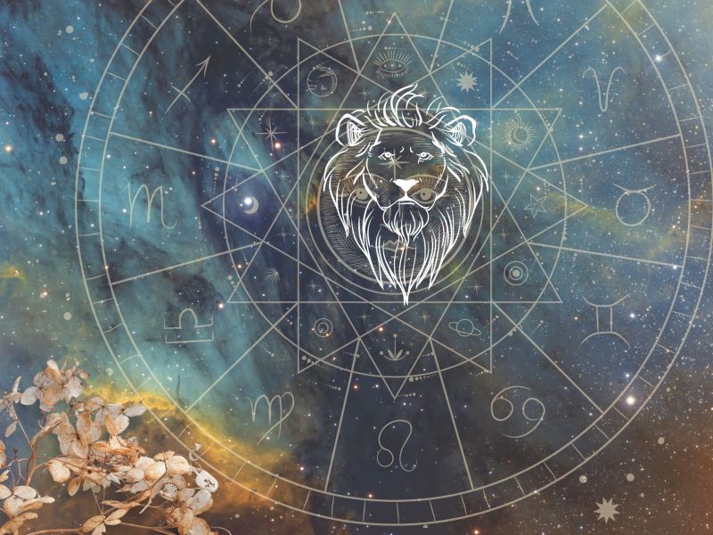 Partner Horoskop: Wer passt zum Sternzeichen Löwe?