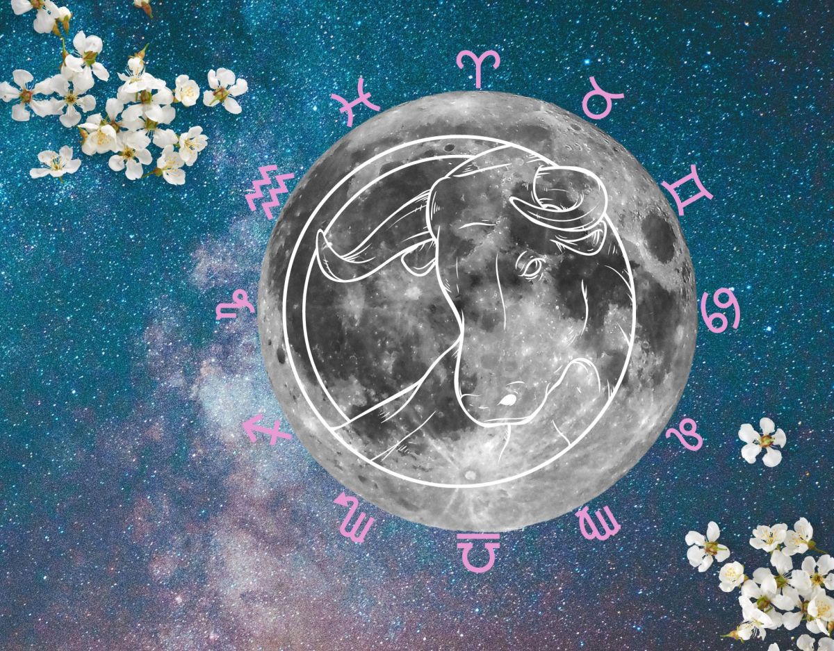 Partner Horoskop: Welches Sternzeichen passt zum Stier?