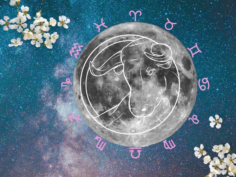 Partner Horoskop: Welches Sternzeichen passt zum Stier?