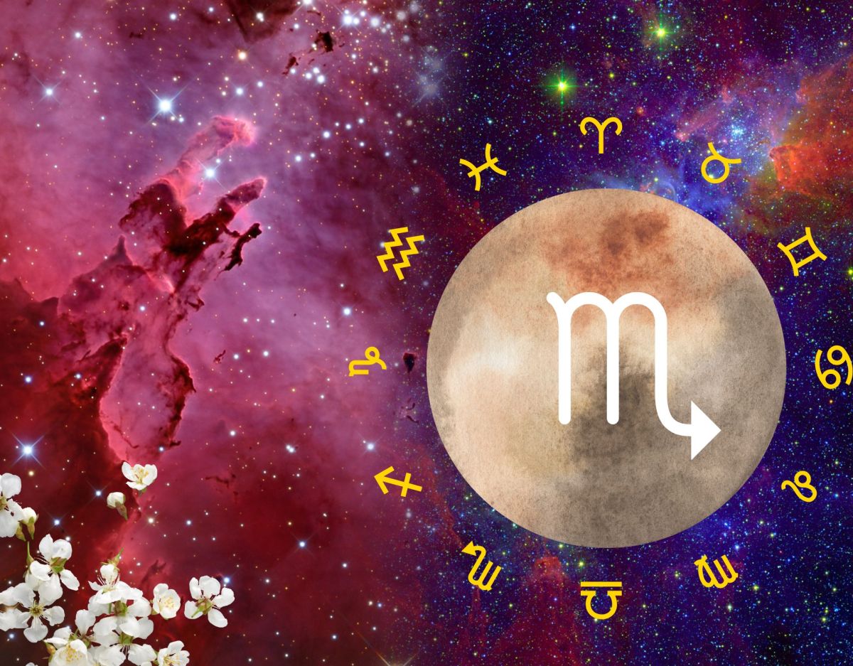 Partner Horoskop: Wer passt zum Sternzeichen Skorpion?