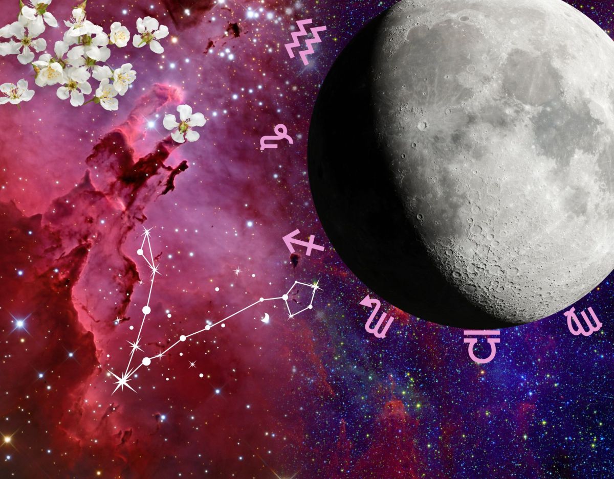 Sternzeichen Partner Horoskop: Liebe für den Widder