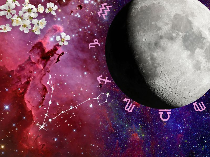 Sternzeichen Partner Horoskop: Liebe für den Widder