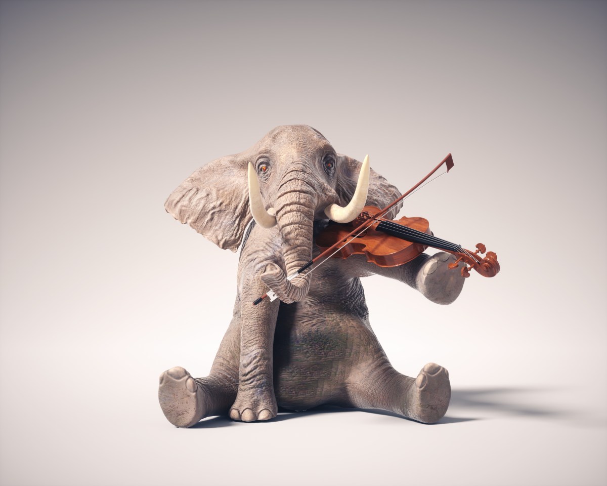Tiere Instrumente Herstellung Elefant Elfenbein