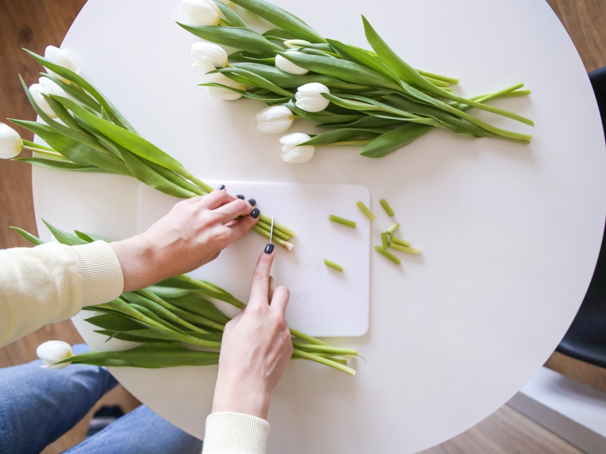 Tulpen anschneiden oder nicht: Was ist besser?
