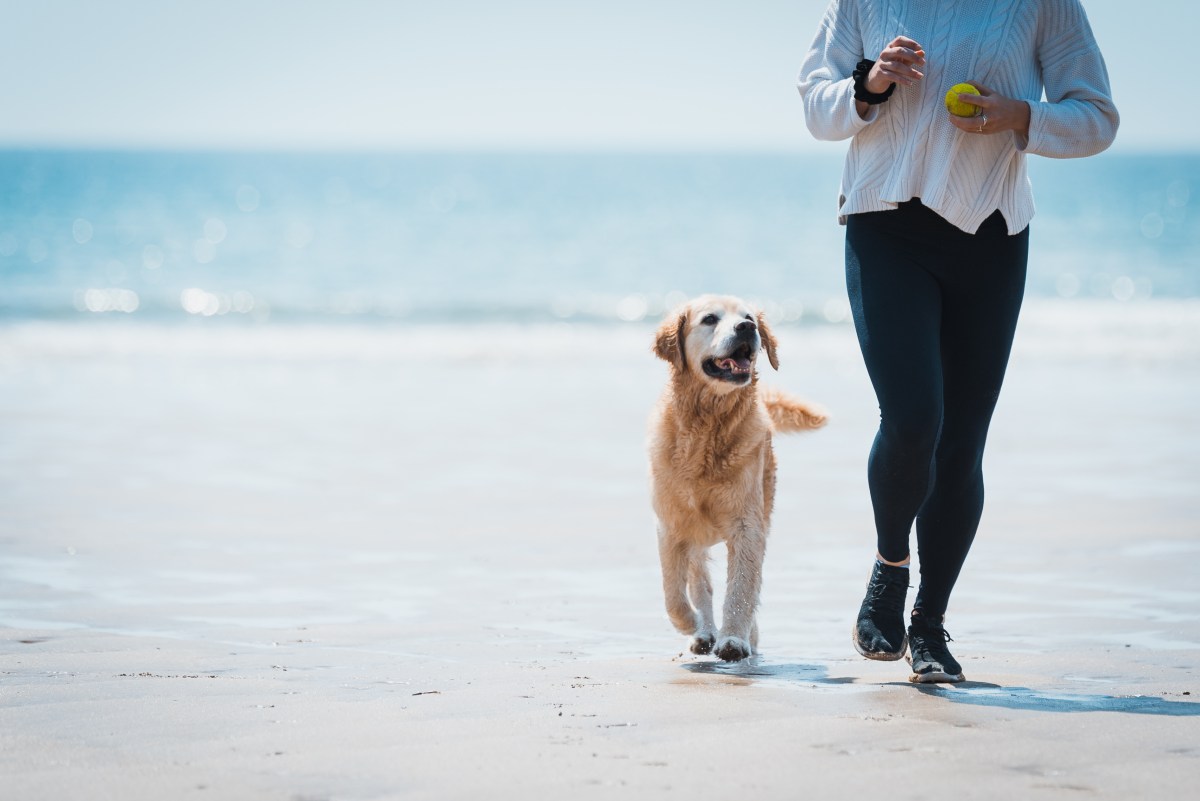 Frau mit Hund beim Joggen: Steinbock, Hobbys und Side Hustle Ideen für das Sternzeichen