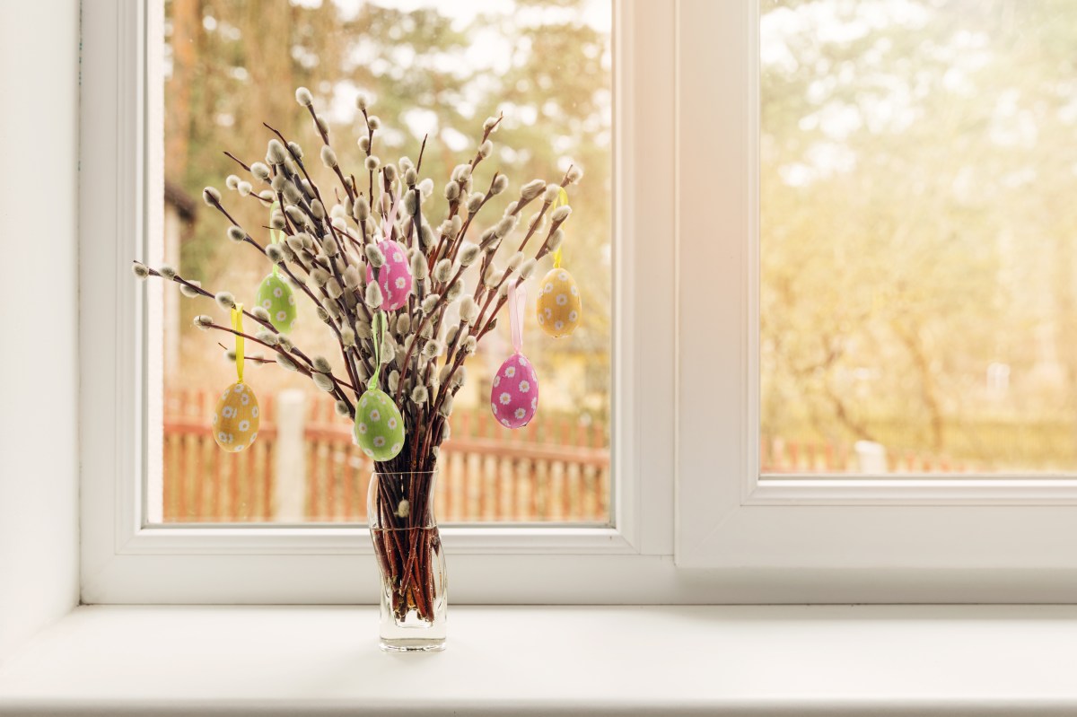 Blumen auf der Fensterbank