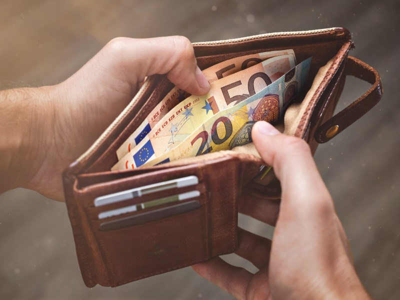 Eine Person hat ihr Portemonnaie geöffnet. Es sind mehrere Geldscheine zu sehen.