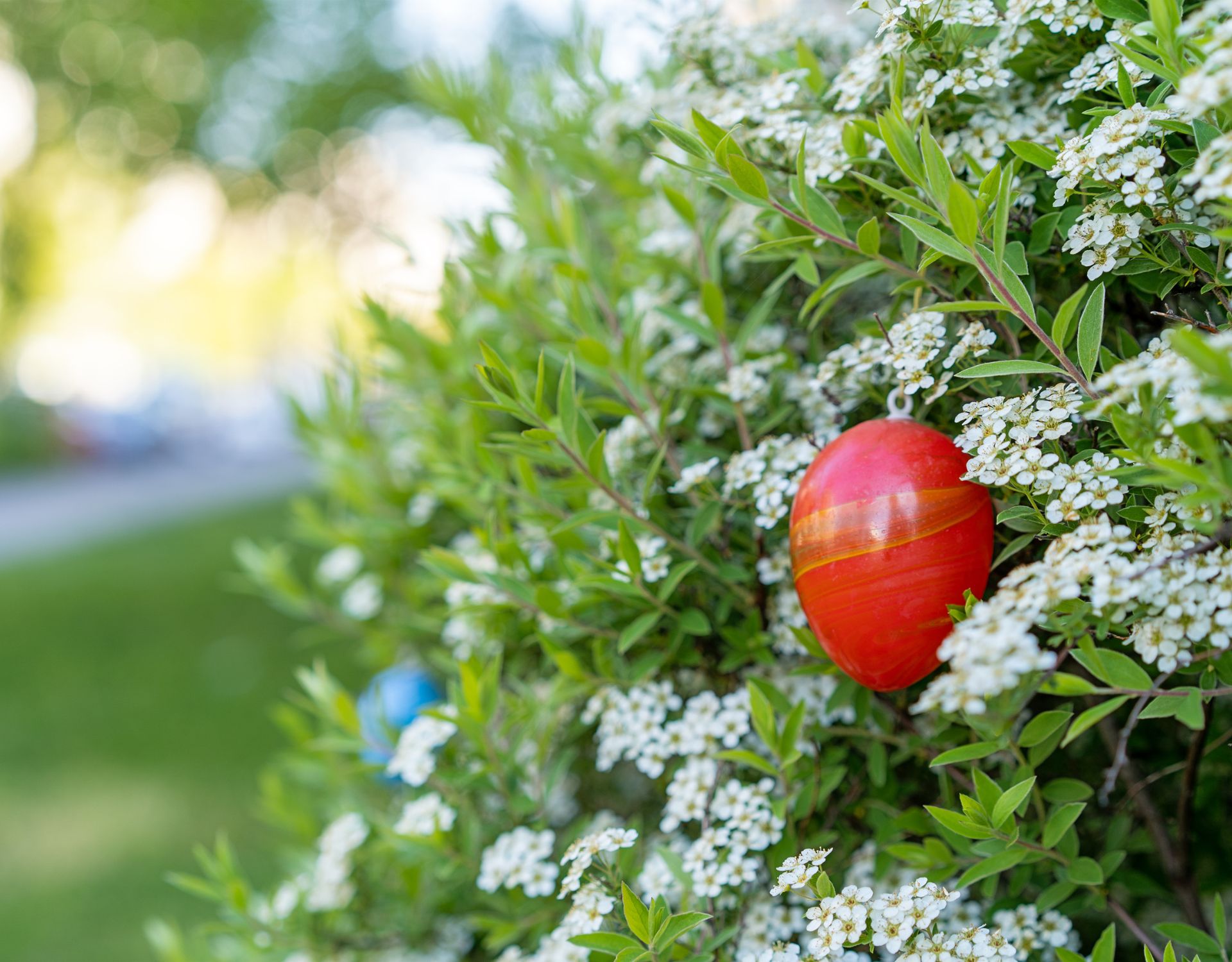 Ostern im Garten Die 3 schönsten DekoTipps für draußen wmn