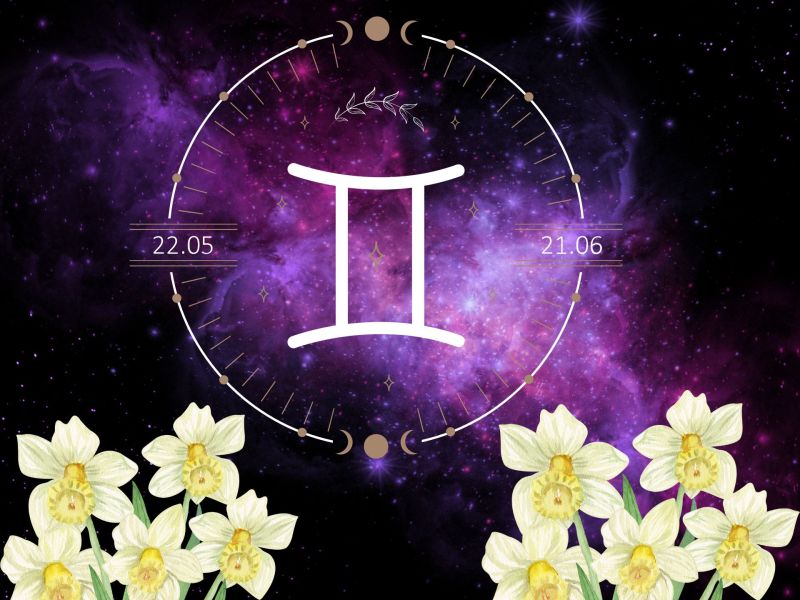 Sternzeichen Zwillinge: Symbol, Planet und Co.