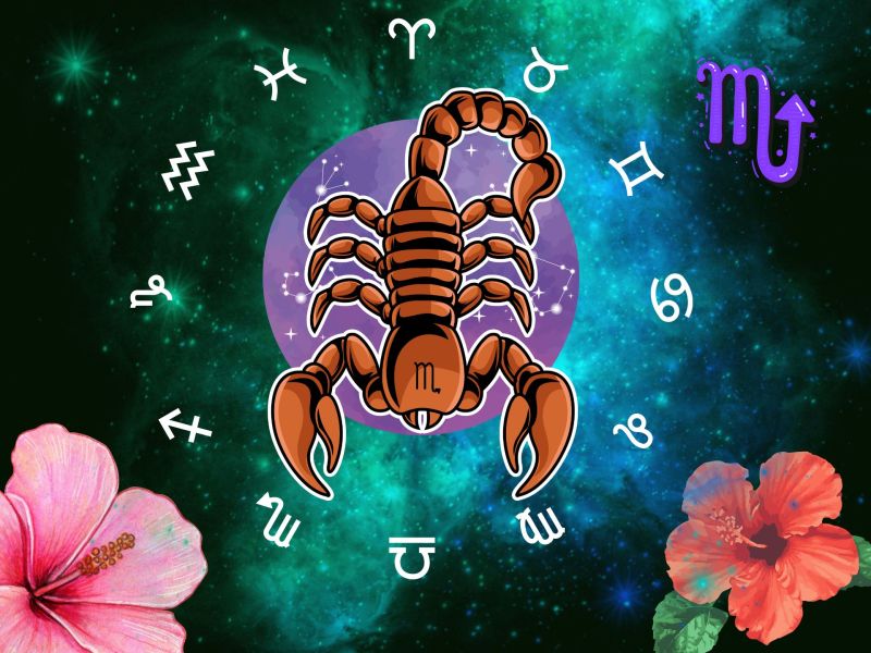 Sternzeichen Skorpion Symbol, Planet, Kristall und Co.