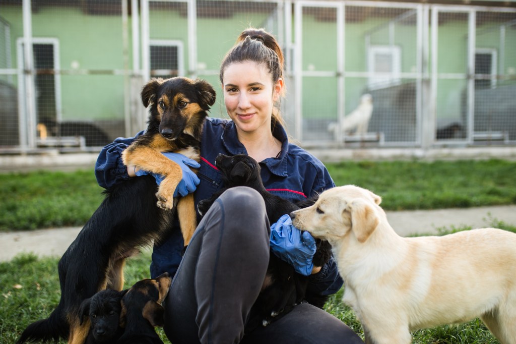Tierheimpflegerin mit Hunden