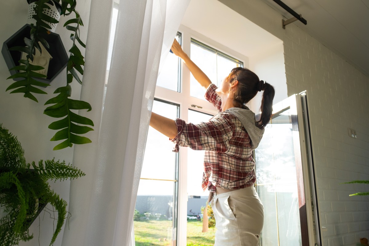 Fensterputzen