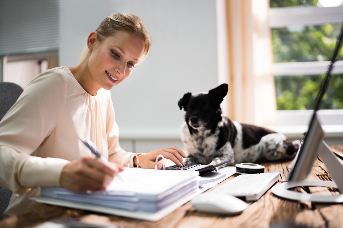 Eine Frau füllt am Schreibtisch Dokumente aus. Ein Hund sitzt auf dem Tisch.