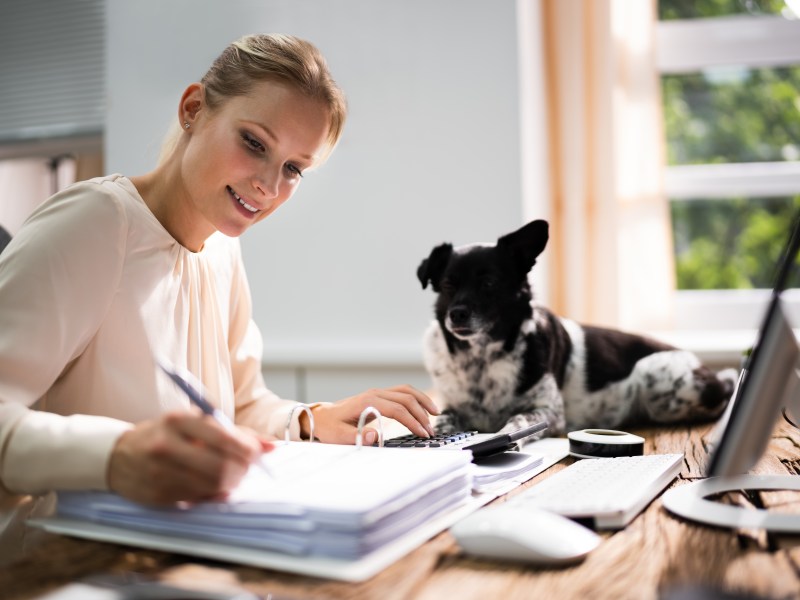 Eine Frau füllt am Schreibtisch Dokumente aus. Ein Hund sitzt auf dem Tisch.