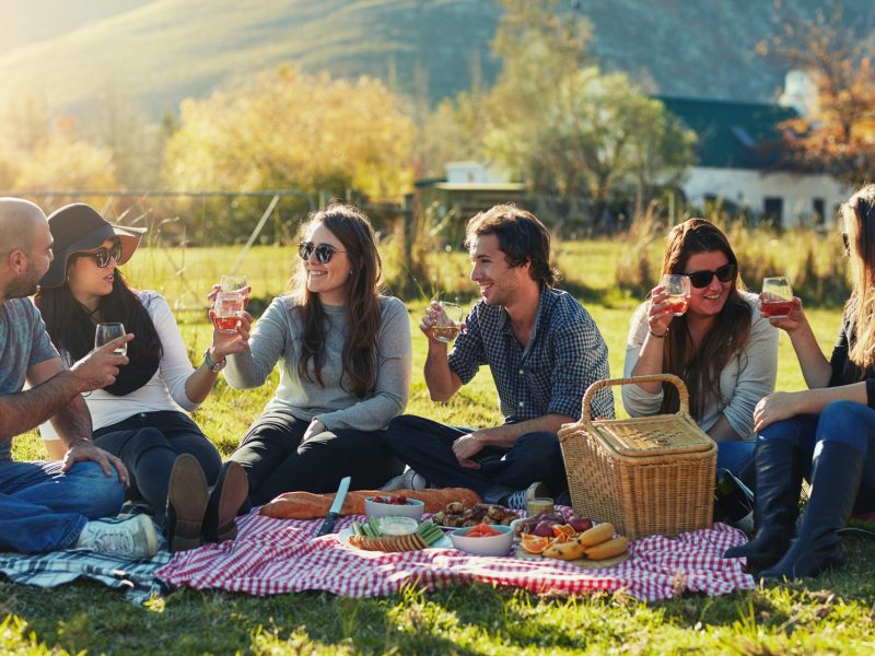 Freunde Picknick