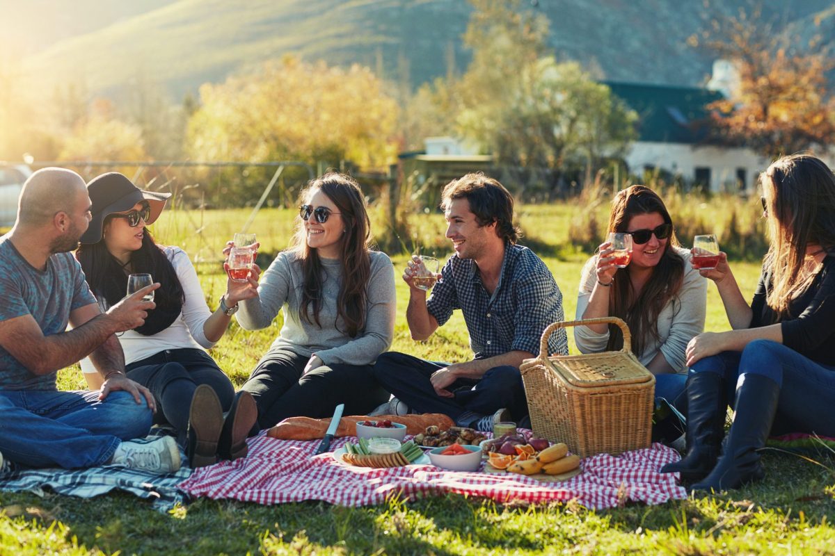 Freunde Picknick