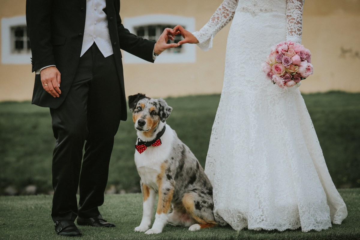 Hochzeit mit Hund