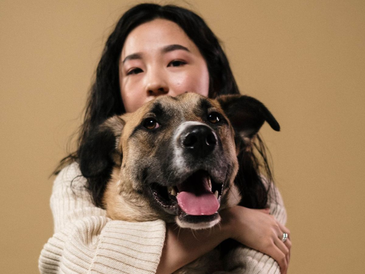 Hund stirbt im Traum: Ein Zeichen deines Unterbewusstseins – oder mehr?