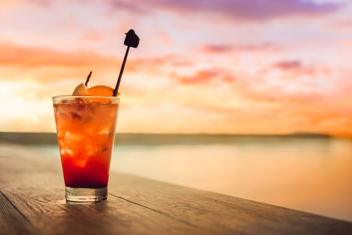 Bird of Paradise: Aperol Cocktail