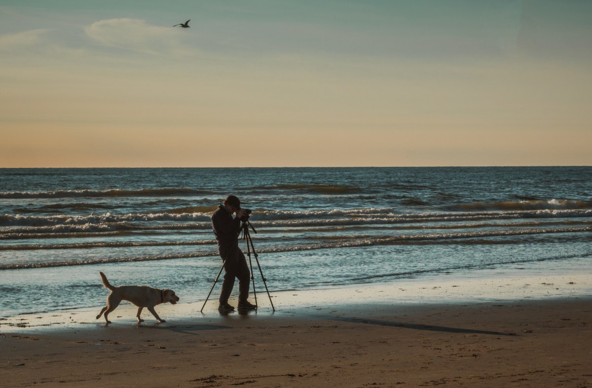 Fotograf mit Hund