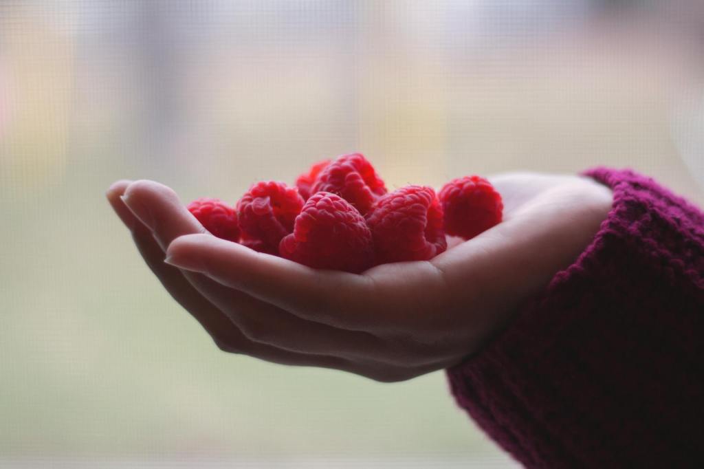 Beeren-Minz-Sprudler