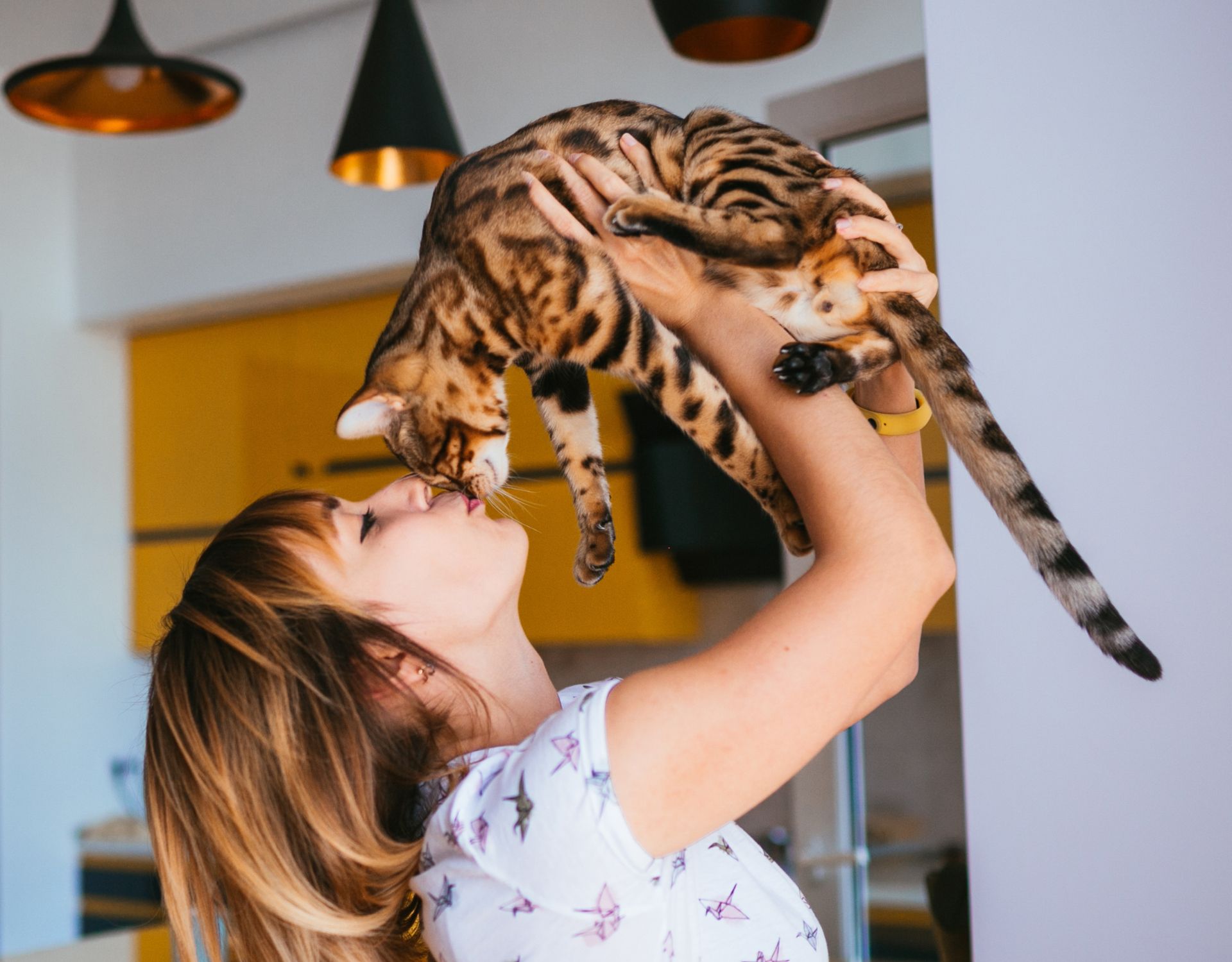 Charakter Von Menschen Die Keine Tiere Mögen 4 dumme Sprüche von Menschen, die keine Katze haben - wmn.de