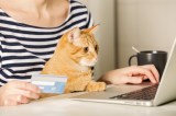 Katze am Laptop mit Frau eröffnen Konto