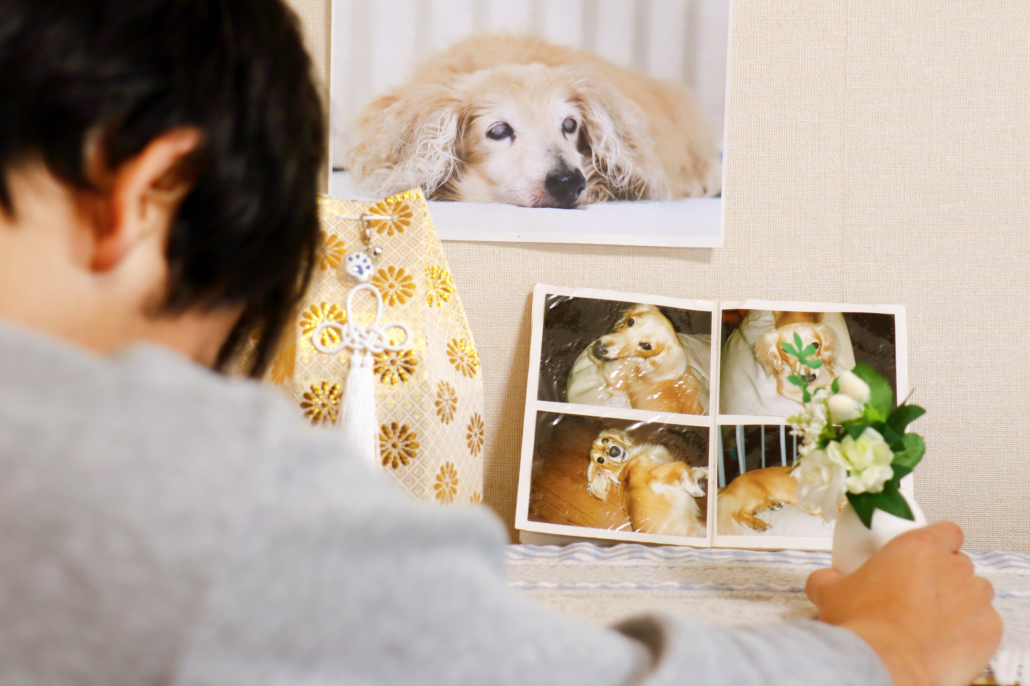 Kann man sich krankschreiben lassen, wenn der Hund gestorben ist? wmn.de