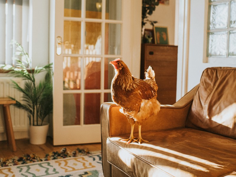 Airbnbs in Deutschland: Die schönsten Unterkünfte für ein 