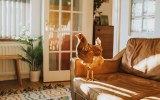 Airbnbs in Deutschland: Die schönsten Unterkünfte für ein 