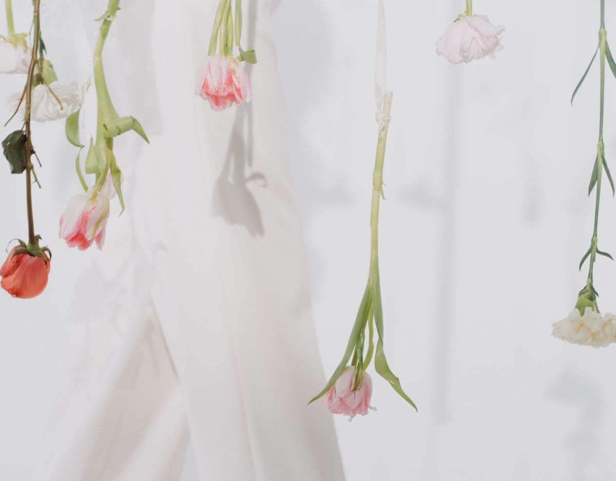 Tulpen